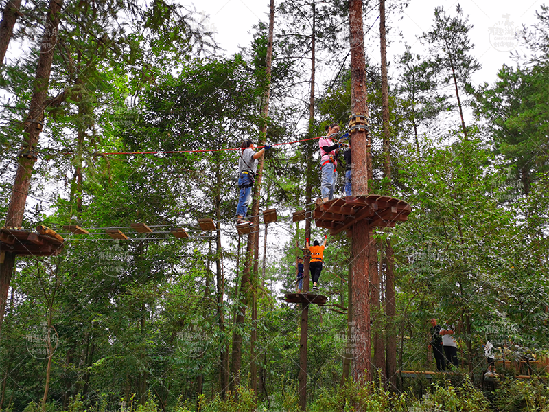 1766799683859027.png 213.png