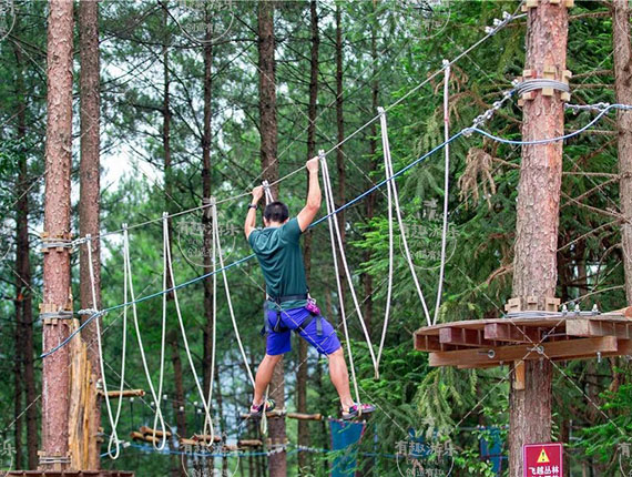 丛林探险 (3).jpg