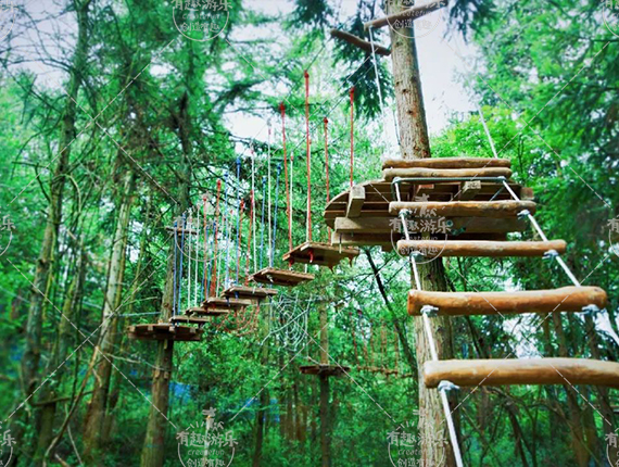 1769738404696580.jpg 丛林探险 (4).jpg